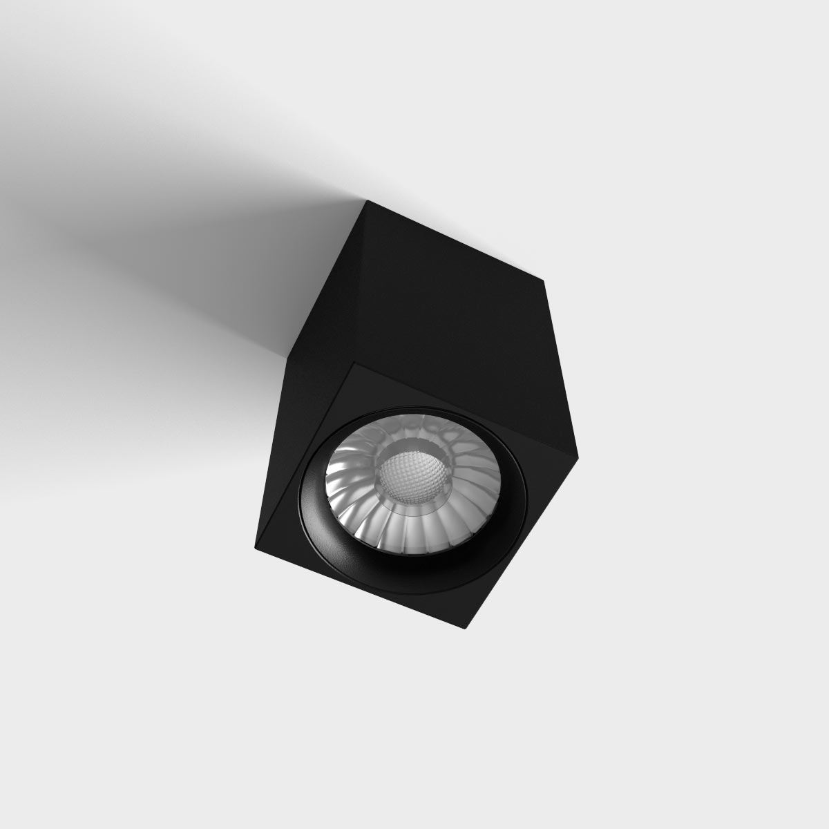LUX0102711-3.jpg