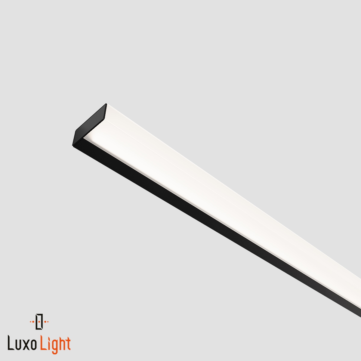 LUX0310301_1.jpg