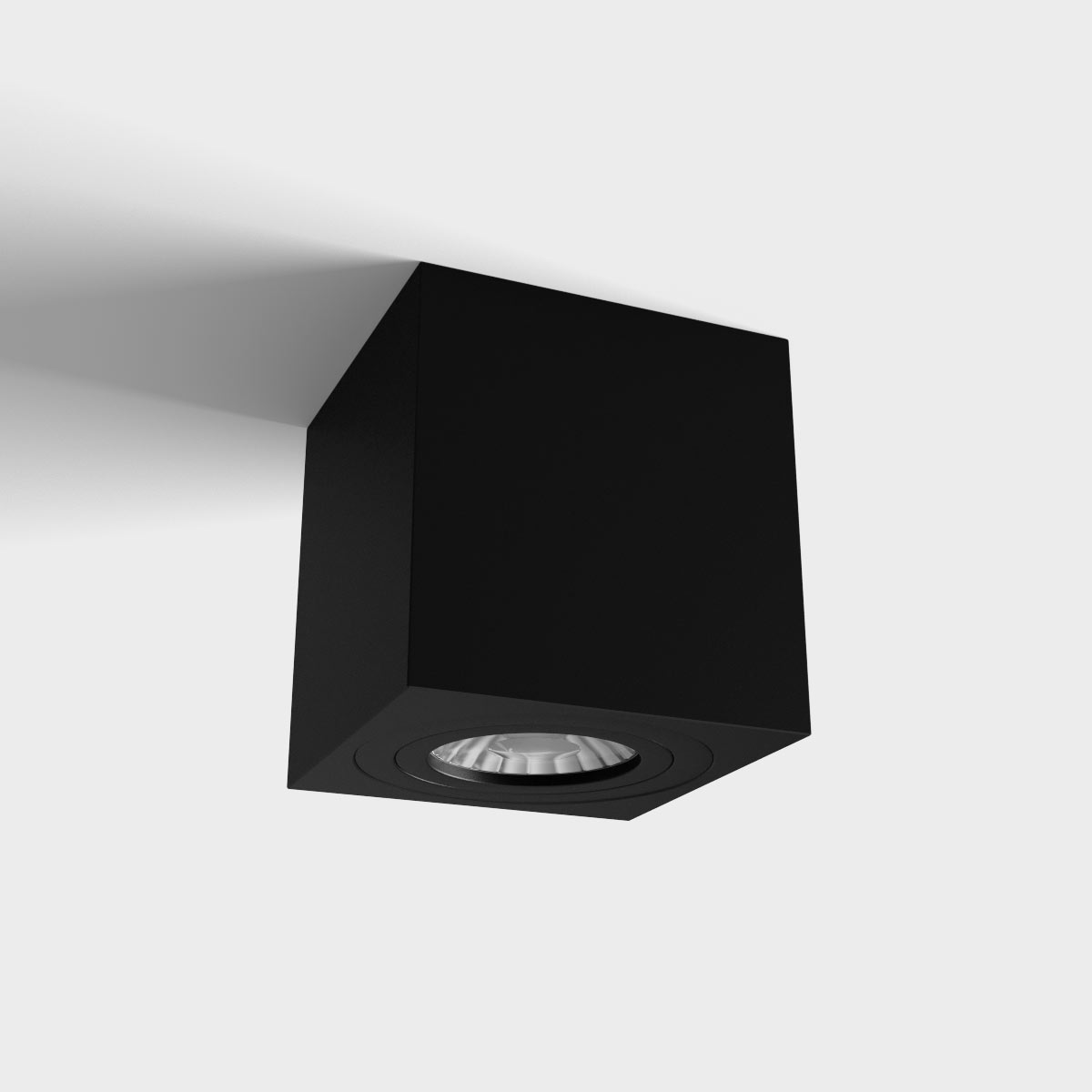 LUX0102911-1.jpg
