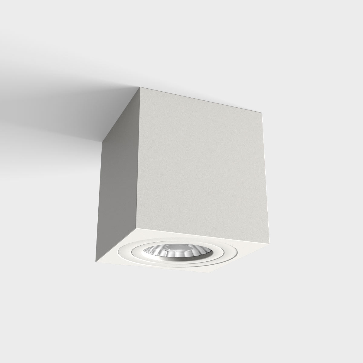 LUX0102910-1.jpg