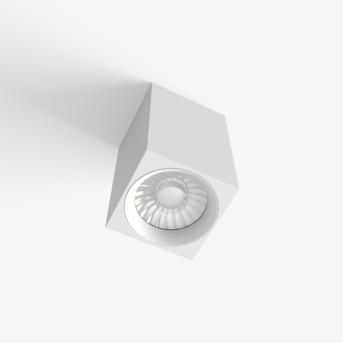 LUX0102710-3.jpg