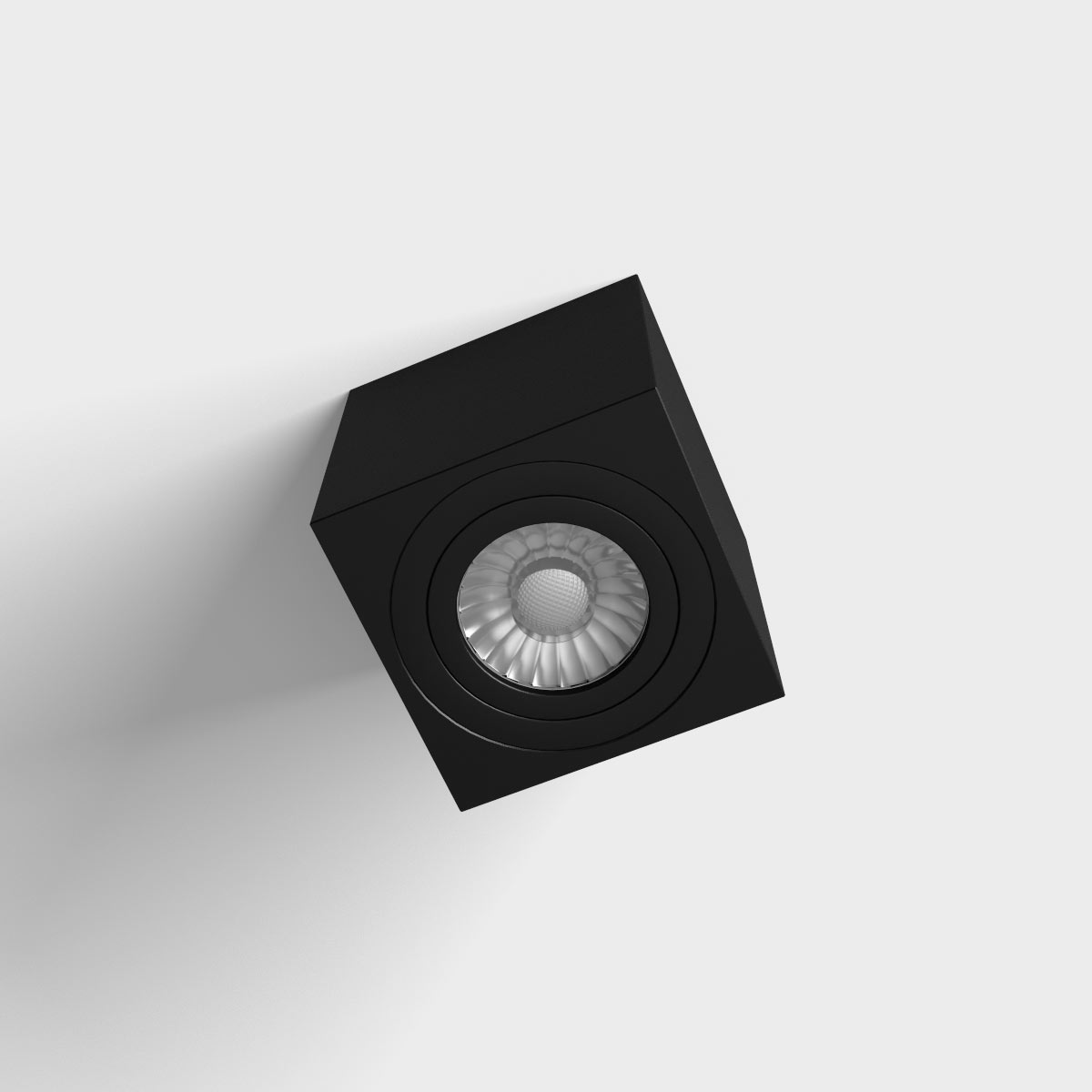 LUX0102911-3.jpg
